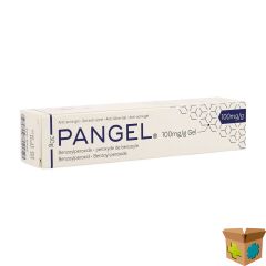 PANGEL 10% GEL TUBE 30G