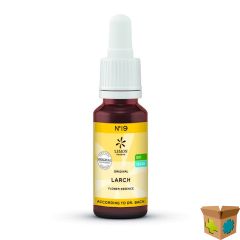 BACHBLOESEM BIO N19 LARCH 20ML