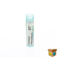 CONIUM MACULATUM 7CH GR 4G BOIRON