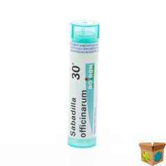 SABADILLA OFFICINARUM 30K GR 4G BOIRON