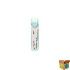 CONIUM MACULATUM 200K GR 4G BOIRON