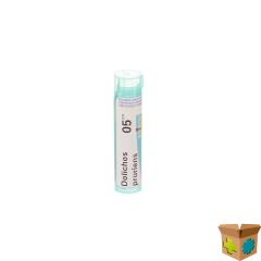 DOLICHOS PRURIENS 05CH GR 4G BOIRON