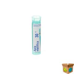 APIS MELLIFICA 30K GR 4G BOIRON