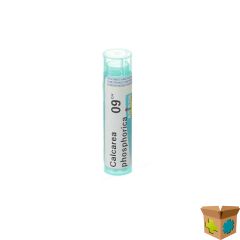 CALCAREA PHOSPHORICA 9CH GR 4G BOIRON