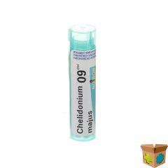 CHELIDONIUM MAJUS 9CH GR 4G BOIRON