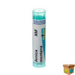 ARNICA MONTANA XMK GR 4G BOIRON